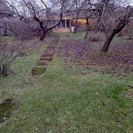 Nelgi The Place Apartament *