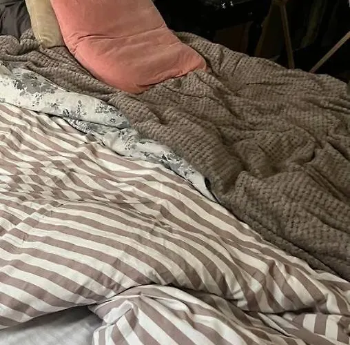 Apartament Nelgi The Place