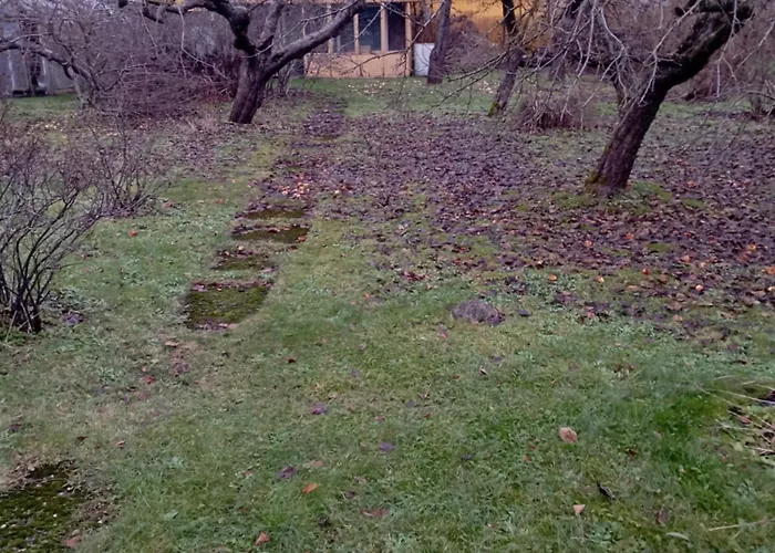 Nelgi The Place Apartament *